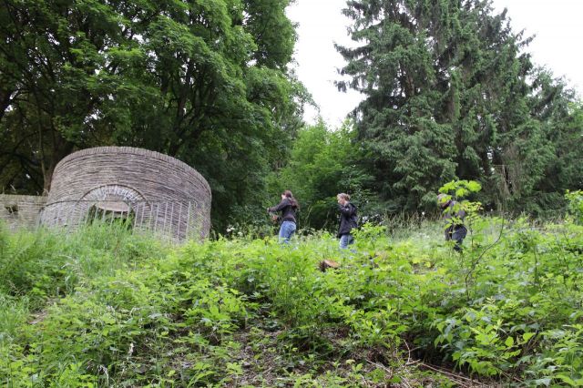 Klicken für Bild in voller Größe