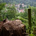 IMG_5669.jpg