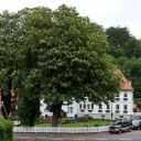Dateiname=IMG_5788.jpg
Dateigröße=353KB
Abmessungen: 1600x1067
hinzugefügt am: 31. Mai 2016 IMG_5788.jpg