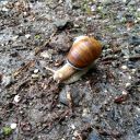 Dateiname=TR-Meeting_2018_UFo_05.jpg
Dateigröße=369KB
Abmessungen: 1280x960
hinzugefügt am: 04. Juni 2018 TR-Meeting_2018_UFo_05.jpg