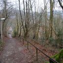 IMG_8382.jpg