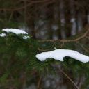 Dateiname=UFO_7242.jpg
Dateigröße=165KB
Abmessungen: 1280x850
hinzugefügt am: 22. Januar 2013 UFO_7242.jpg